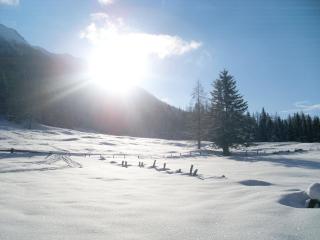 Appartements Alpengarten - 8