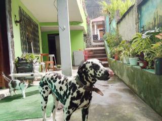Casa verde - Baños - 9