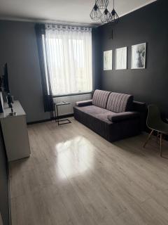Apartament Mieszkanie Gniezno - Gniezno - 8