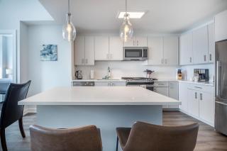 Luxury 2 BR Apt with Gym - 4