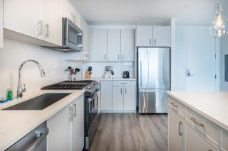 Luxury 2 BR Apt with Gym - 3