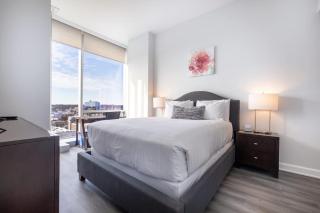 Luxury 2 BR Apt with Gym - 6