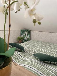 Cascade et Paille-en-queue, Appart Lé ô - 2