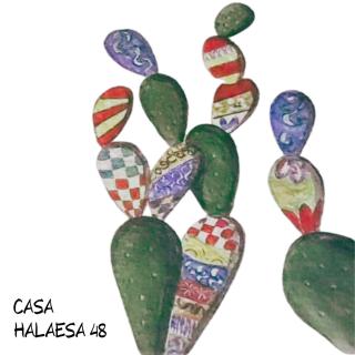 Casa Halaesa 48 - 9