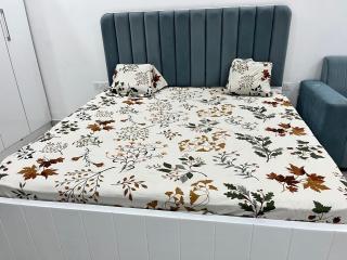 Royal orbit studio - 0