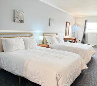 Elite Hotel -Downtown Center- "Ski & Northern light Tour" "Hot Spring Tour "Long-term stay" - Whitehorse - 7