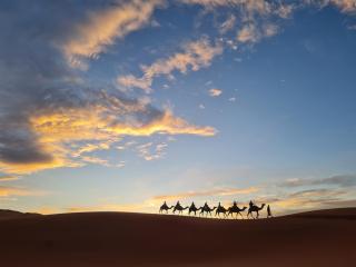 Nomada Desert Camp - Merzouga - 8