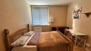 Spacious Room in Central London - Londra - 0