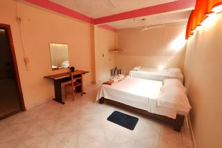 Encasa - Palm 206 - Poza Rica de Hidalgo - 8