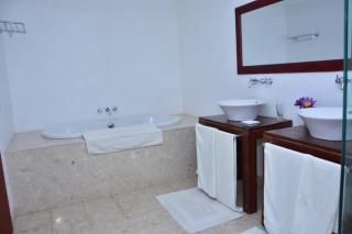 red mangrove - Bentota - 6