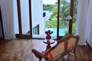 red mangrove - Bentota - 1