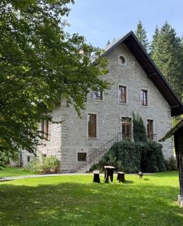 Herenhaus Schluchsee - Schluchsee - 5