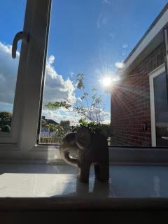 Apartment in Bromsgrove - Bromsgrove - 5