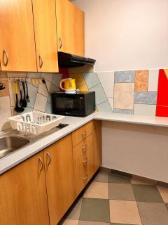 Apartmany Turgenevova - Olomoucka a PARKOVANI - Brno - 4