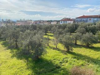 Almond b&b - Madonna della Pace - 5