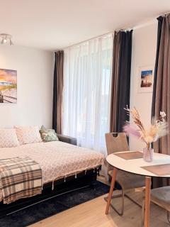 Cozy studio with a balcony - Prague - 4