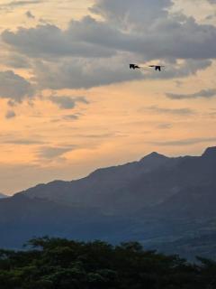 Casa finca Pool & Jacuzzi, Tropical Oasis - 2