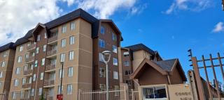 Departamento en Villarrica con Vista Volcán en condominio - Villarrica - 4