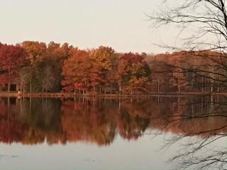 Dreamy Lake House - Fireplace, Firepit & Pet Friendly - 3