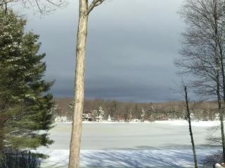 Dreamy Lake House - Fireplace, Firepit & Pet Friendly - Pocono Lake - 1