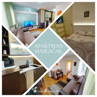Apartman Maslačak Vrnjačka Banja - Vrnjačka Banja - 0