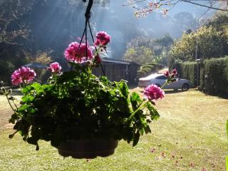 Vale do Piemonte - Chalé com hidromassagem - - Santo Antônio do Pinhal - 1