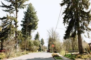 The Cozy Cottage - 7