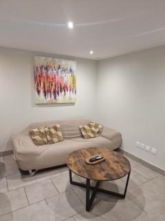 Appartement T2 Avec Terrasse PROCHE GROUPAMA STADIUM AEROPORT ST EXUPERY LDLC ARENA EUREXPO - 3