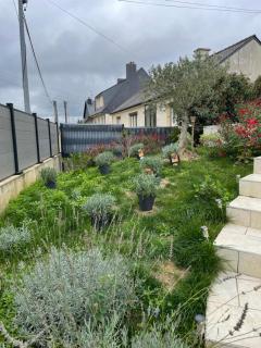 Le Korrigan - Saint-Jacques-de-la-Lande - 9
