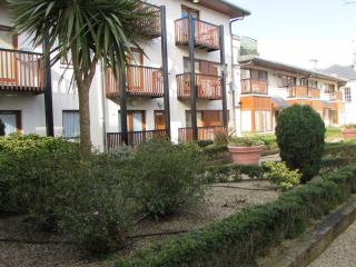 Wexford Town Centre Apartment - Wexford - 1