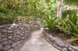 Casa Selva Jungle Beach with Privacy - 4