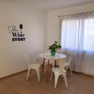 Espectacular Duplex wine story Tupungato - Tupungato - 8