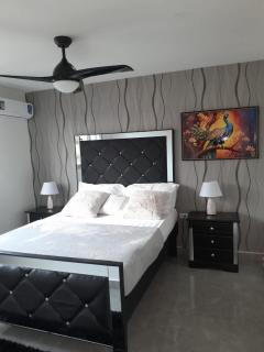 Deluxe One Bedroom Apartment in Kingston - 0