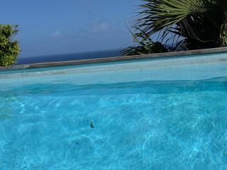 villa fleurie - Le Moule - 5