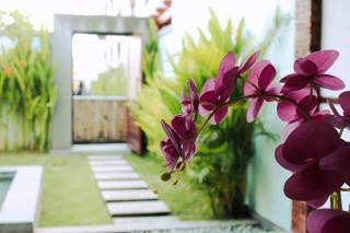 Sejati Villas - Petitenget - Seminyak - 7