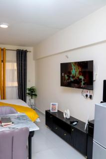 modern studio apt near jkia and sgr - 4