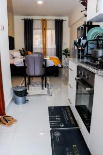 modern studio apt near jkia and sgr - Nairobi - 7