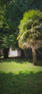 Dos ambientes céntrico - 7