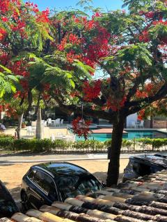 Casa em Manguinhos-Búzios - Búzios - 8