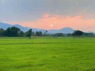 Rabiangmai Homestay & Farm - 5