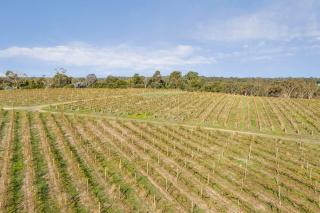 Country Escape Winery Estate near Bendigo - Strathfieldsaye - 9