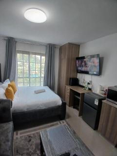 stadeview Studios Nairobi west - Nairobi - 1