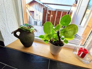 Traumwohnung mit Sonnen-Balkon - nur 5 min vom EP - Rheinhausen - 9