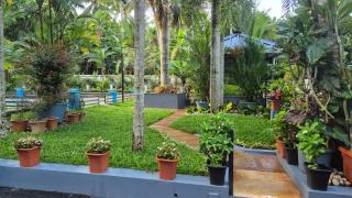 Grace Home Stay by THE ATARAXIA - 3