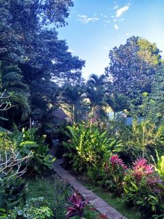 Maya Mountain Lodge - 5