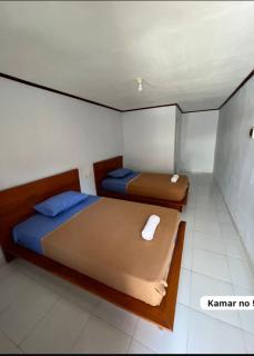 Amora homestay - Sekongkang - 0