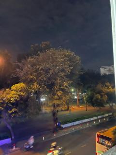 Mini Hotel in Heart D1 - City View - Ho Chi Minh - 4
