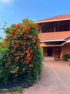 Janiro Tea Trees Villas - Vythiri - 4
