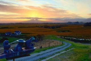 Marlborough Suite in an 6-bedroom luxury villa - Blenheim - 2