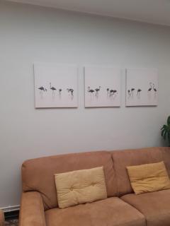 La colombe 43 - Steenvoorde - 1